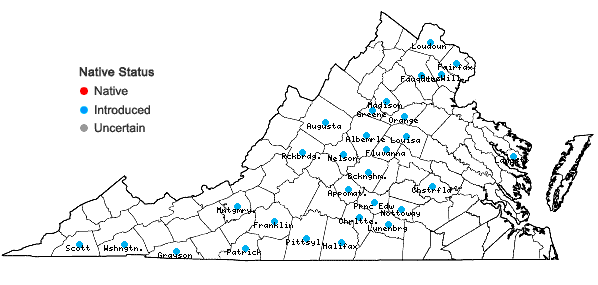 Locations ofHelianthus grosseserratus Martens in Virginia