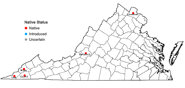 Locations ofHelianthus hirsutus Raf. in Virginia