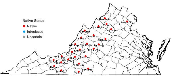 Locations ofHelianthus laevigatus Torr. & Gray in Virginia