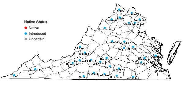 Locations ofHelianthus maximiliani Schrad. in Virginia