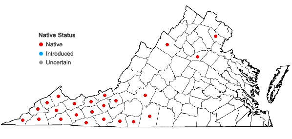 Locations ofHelianthus microcephalus Torr. & Gray in Virginia