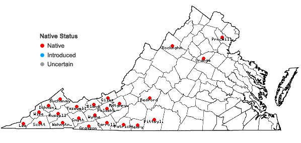 Locations ofHelianthus microcephalus Torr. & Gray in Virginia