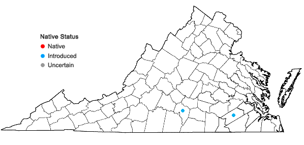 Locations ofHelianthus pauciflorus Nutt. ssp. pauciflorus in Virginia