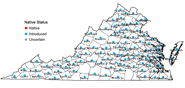 Locations ofHelianthus tuberosus L. in Virginia