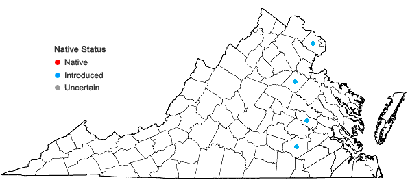 Locations ofHeliotropium europaeum L. in Virginia