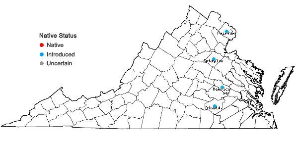 Locations ofHeliotropium europaeum L. in Virginia