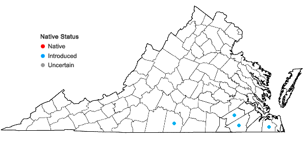 Locations ofHeliotropium indicum L. in Virginia