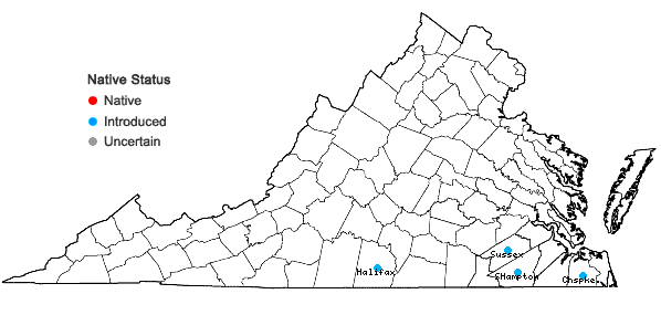Locations ofHeliotropium indicum L. in Virginia