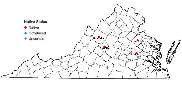 Locations ofHelonias bullata L. in Virginia