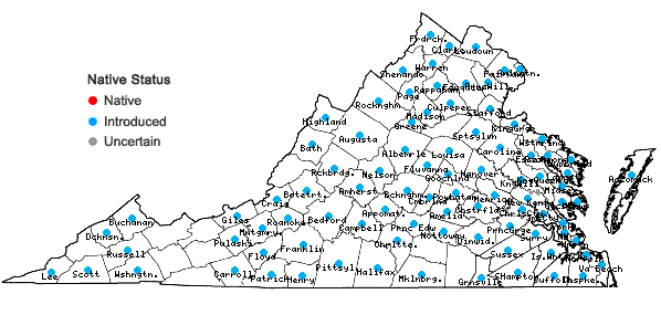 Locations ofHemerocallis fulva (L.) L. in Virginia