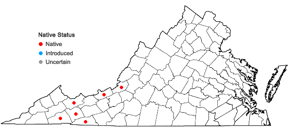 Locations ofHerbertus tenuis (A. Evans) H.A. Mill. & E.B. Bohrer in Virginia