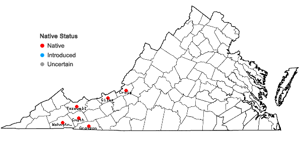 Locations ofHerbertus tenuis (A. Evans) H.A. Mill. & E.B. Bohrer in Virginia