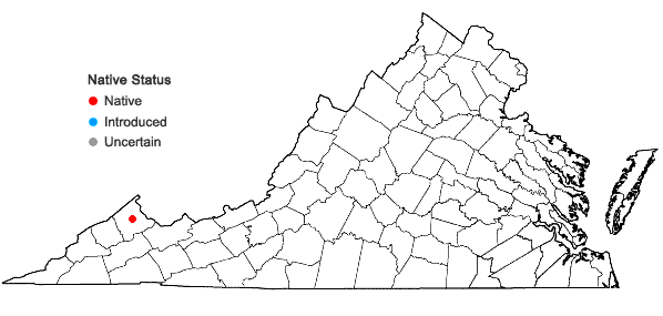 Locations ofHerpetineuron toccoae (Sull. & Lesq.) Cardot in Virginia