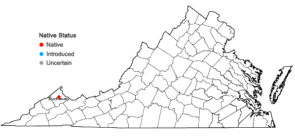 Locations ofHerpetineuron toccoae (Sull. & Lesq.) Cardot in Virginia