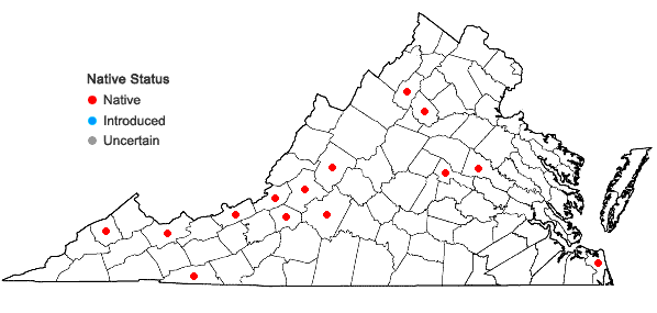 Locations ofHerzogiella striatella (Brid.) Z. Iwats. in Virginia