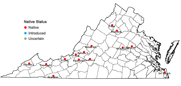 Locations ofHerzogiella striatella (Brid.) Z. Iwats. in Virginia