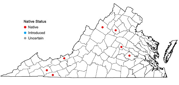 Locations ofHerzogiella turfacea (Lindb.) Z. Iwats. in Virginia