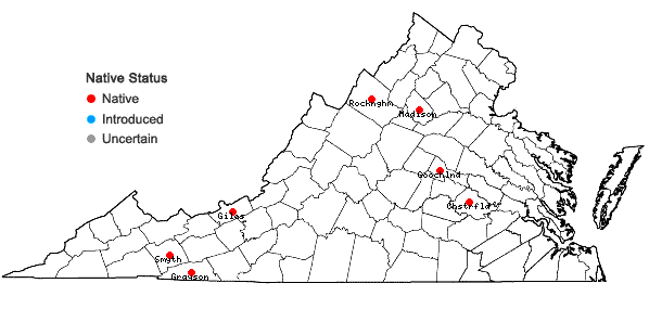 Locations ofHerzogiella turfacea (Lindb.) Z. Iwats. in Virginia