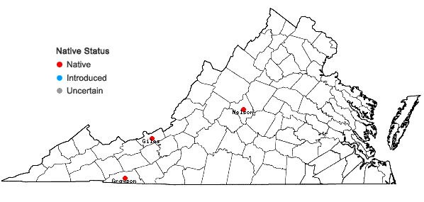 Locations ofHeterophyllium affine (Hook.) M. Fleisch. in Virginia