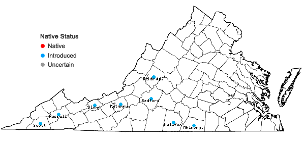 Locations ofHeterotheca camporum (Greene) Shinners var. glandulissima Semple in Virginia
