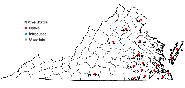 Locations ofHeterotheca subaxillaris (Lam.) Britt. & Rusby in Virginia