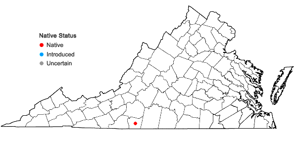 Locations ofHeuchera caroliniana (Rosendahl, Butters, & Lakela) Wells in Virginia