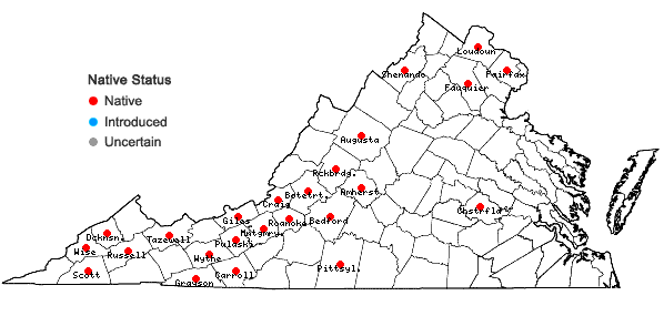 Locations ofHeuchera hispida Pursh in Virginia