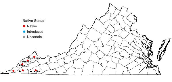 Locations ofHeuchera longiflora Rydb. in Virginia