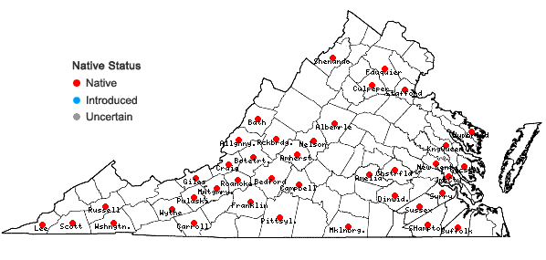 Locations ofHexalectris spicata (Walter) Barnh. in Virginia