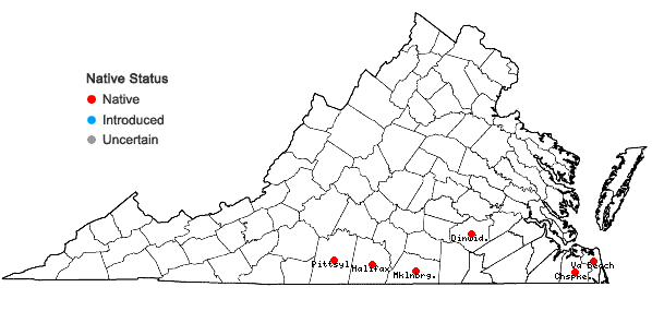 Locations ofHexastylis arifolia (Michx.) Small in Virginia