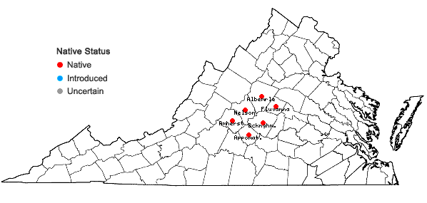 Locations ofHexastylis chueyi (B.T. Sinn) Weakley & D.B. Poind. in Virginia