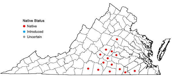 Locations ofHexastylis lewisii (Fern.) Blomquist & Oosting in Virginia