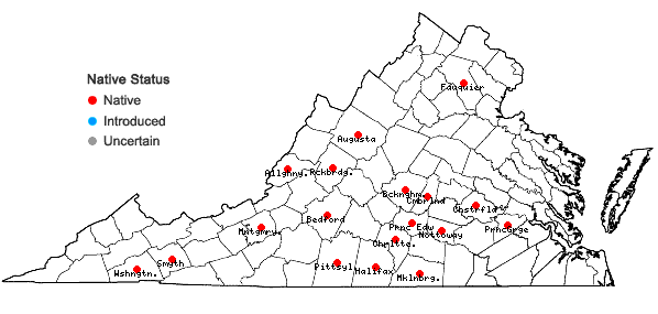 Locations ofHexastylis minor (Ashe) Blomquist in Virginia