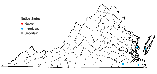 Locations ofHibiscus coccineus Walt. in Virginia
