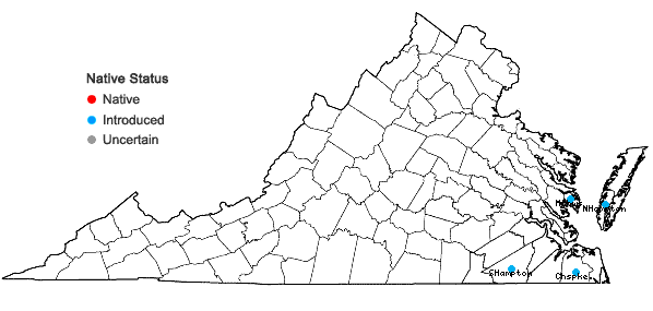 Locations ofHibiscus coccineus Walt. in Virginia