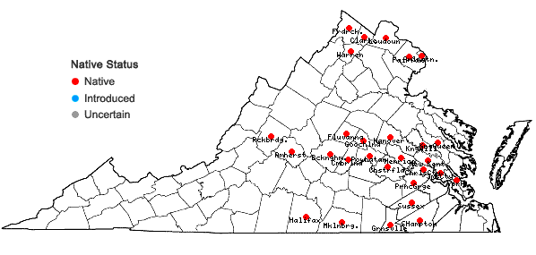 Locations ofHibiscus laevis Allioni in Virginia