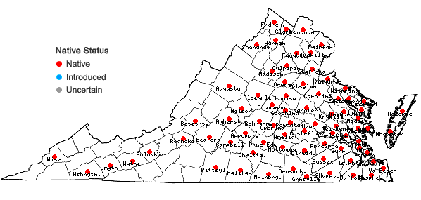 Locations ofHibiscus moscheutos L. in Virginia
