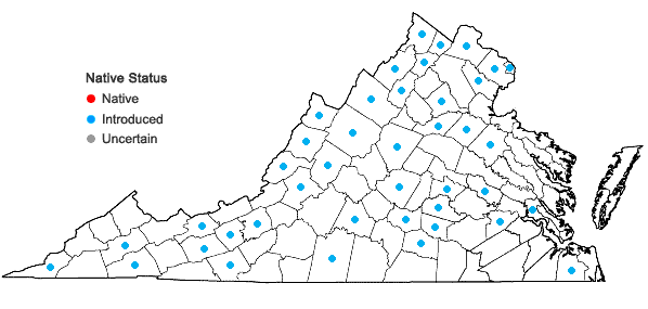 Locations ofHibiscus trionum L. in Virginia