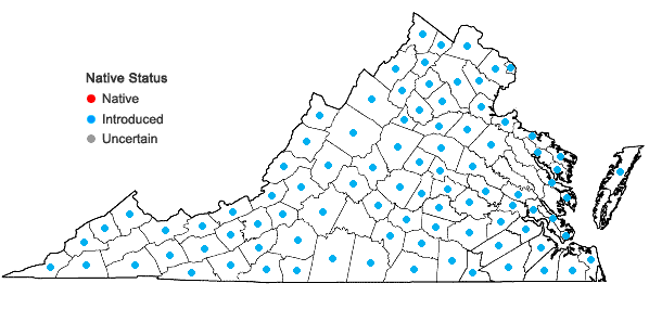 Locations ofHolcus lanatus L. in Virginia