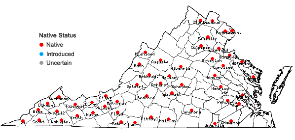 Locations ofHomalosorus pycnocarpos (Spreng.) Pichi-Sermolli in Virginia