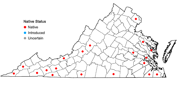 Locations ofHomalotheciella subcapillata (Hedw.) Broth. in Virginia