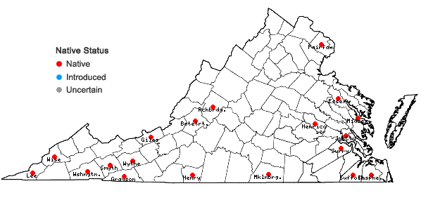 Locations ofHomalotheciella subcapillata (Hedw.) Broth. in Virginia