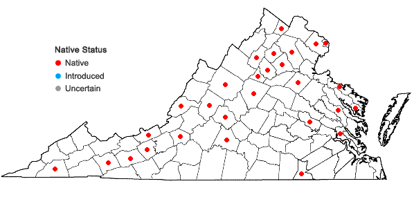 Locations ofHomomallium adnatum (Hedw.) Broth. in Virginia