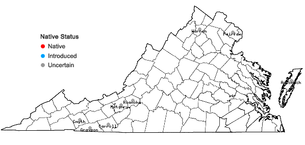 Locations ofHordeum jubatum L. ssp. jubatum in Virginia