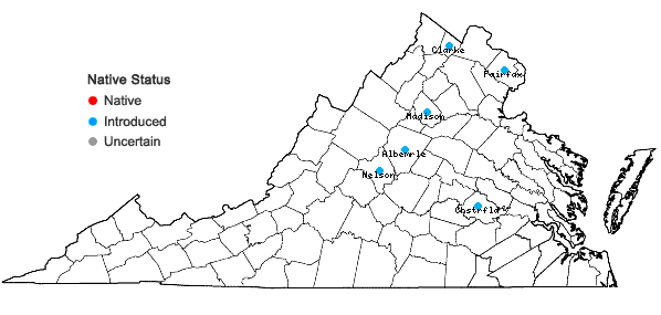 Locations ofHosta ventricosa (Salisb.) Stearn in Virginia