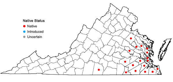 Locations ofHottonia inflata Ell. in Virginia