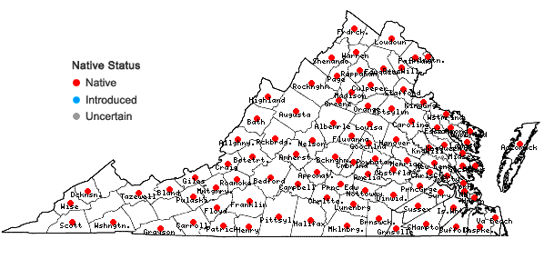 Locations ofHoustonia caerulea L. in Virginia