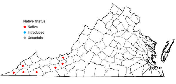 Locations ofHoustonia canadensis Willd. ex Roemer & J.A. Schultes in Virginia