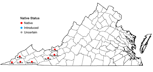 Locations ofHoustonia canadensis Willd. ex Roemer & J.A. Schultes in Virginia