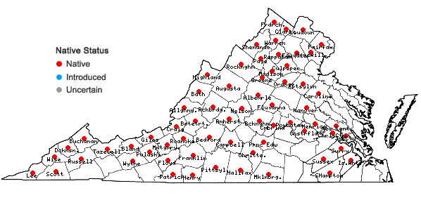 Locations ofHoustonia longifolia Gaertn. in Virginia